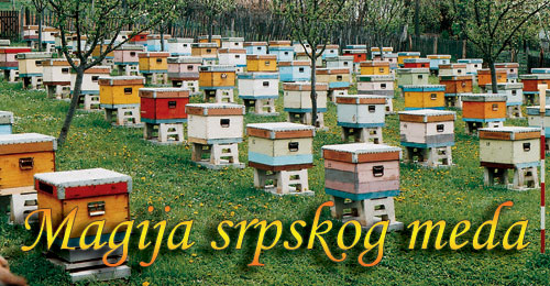 magija srpskog meda