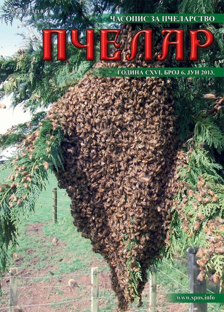 naslovna
